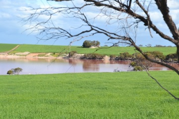 One of our salt lakes on the property, something Yorketown is known for