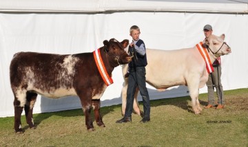 Interbreed Junior Champion Pair Adelaide Show 2014 - Bayview & Carlton