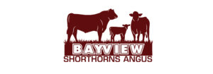 Bayview Shorthorns & Angus