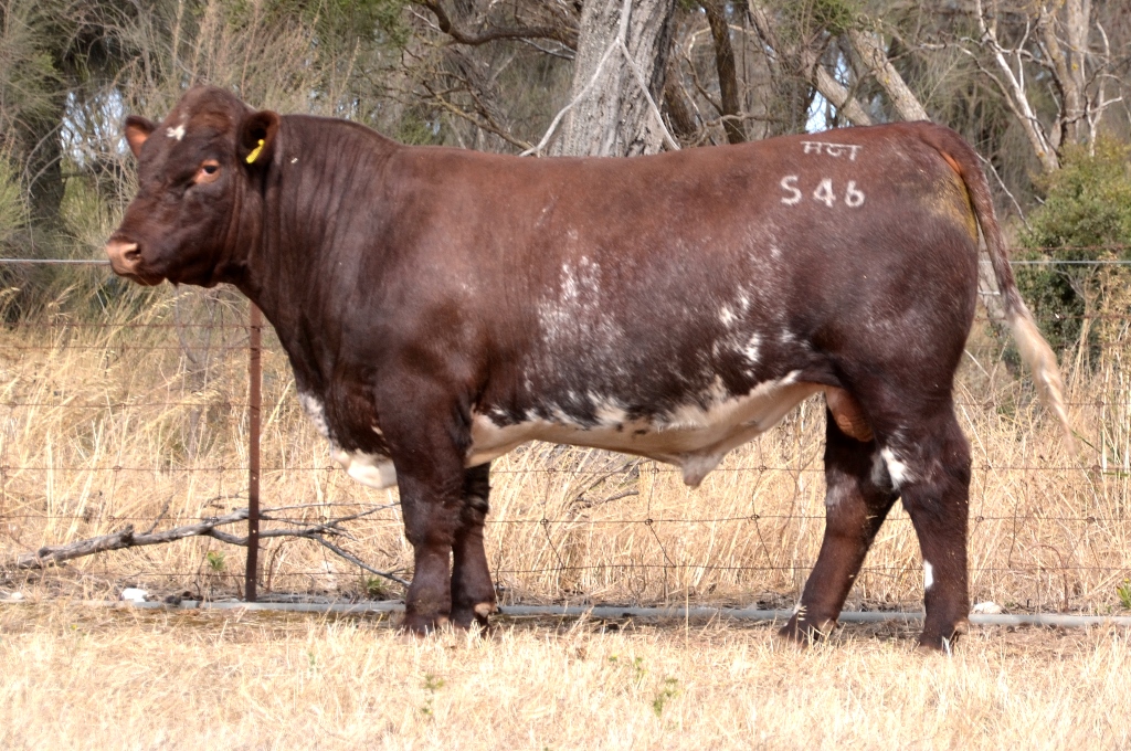 ????????????????????????????????????