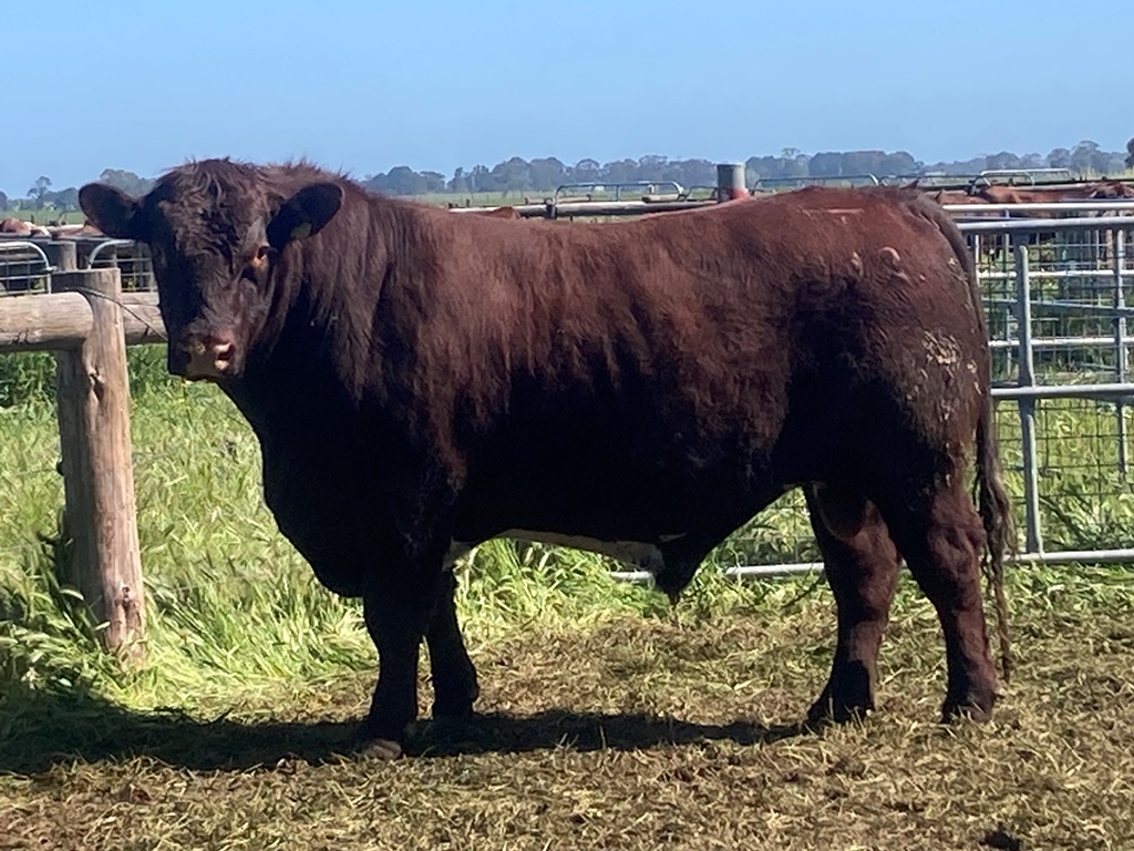 Copy of Bayview Fortunate U23