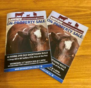 Catalogues cover photo